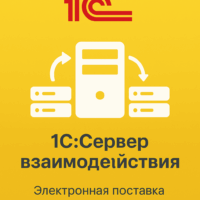 1С:Сервер взаимодействия. Электронная поставка